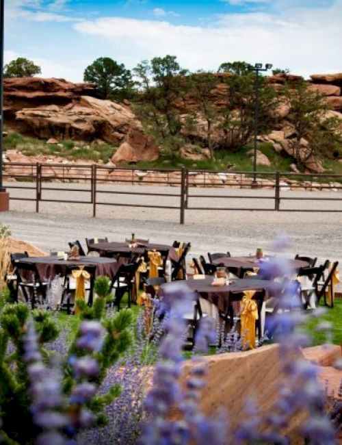 An outdoor seating area with tables and chairs is set against a desert landscape, featuring rocks, purple flowers, and clear skies.